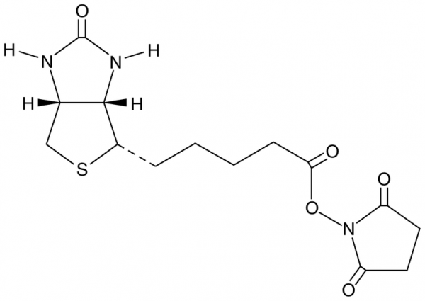 Biotin-NHS