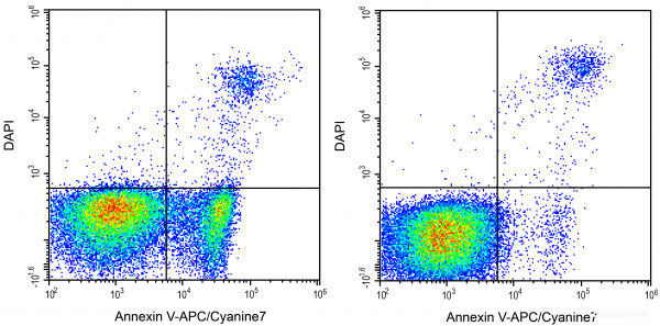 Annexin V-APC/Cyanine7 / DAPI Apoptosis Detection Kit[270]