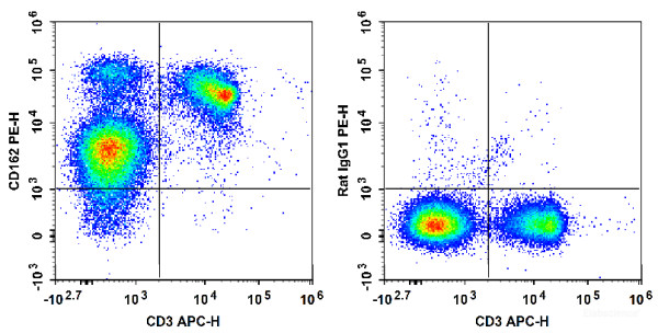 Anti-Mouse CD162 (PE Conjugated)[4RA10], clone 4RA10