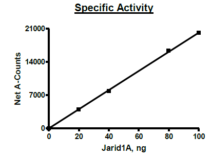 JARID1A (KDM5A), His-Avi-tag, Human Recombinant Protein