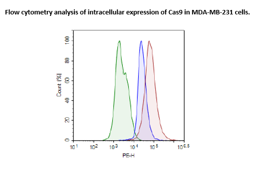 Cas9-Expressing MDA-MB-231 Cell Line (High or Low Expression)-78150-H