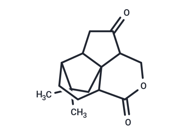 Quadrone