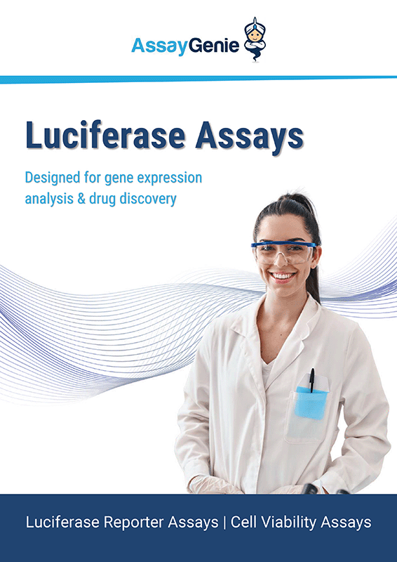 Luciferase Assays