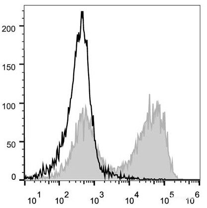 Anti-Mouse CD90.2 (PE/Cyanine5 Conjugated)[30H12], clone 30H12
