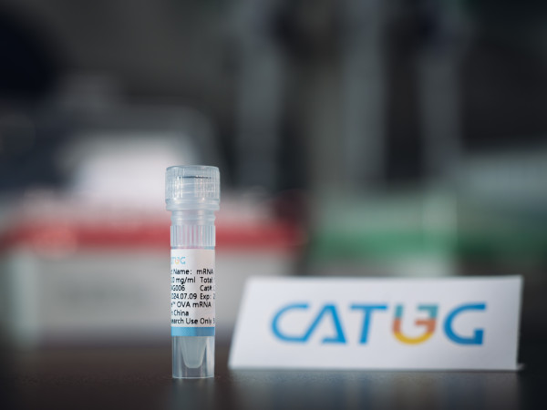 CatPure(TM) OVA mRNA