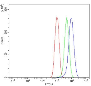 Anti-GIT2 / GRK-interacting protein 2