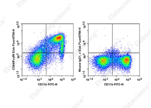 Elab Fluor(R)700 Anti-Mouse CD64/FcgammaRI Antibody[X54-5/7.1]