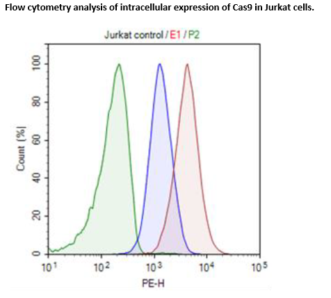 Cas9-Expressing Jurkat Cell line - Low expression