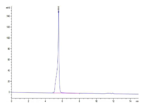 Hepatitis B Virus (HBV) (ayw/France/Tiollais/1979) Capsid, His, HBV