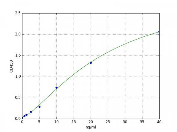 Human EPHB2 / EPH Receptor B2 ELISA Kit