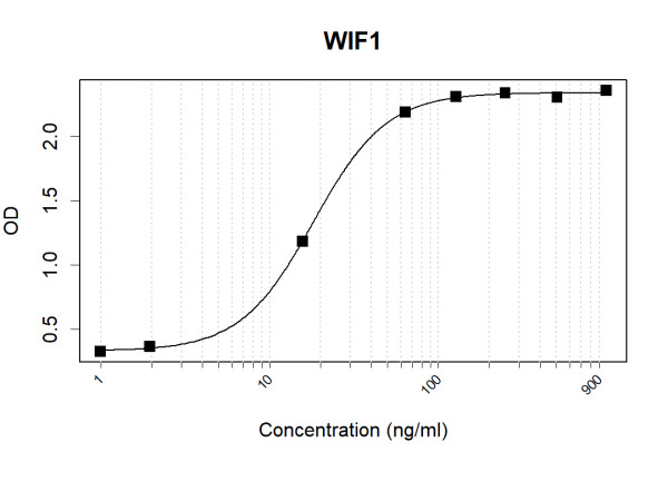 Anti-Human WIF1 Antibody Pair