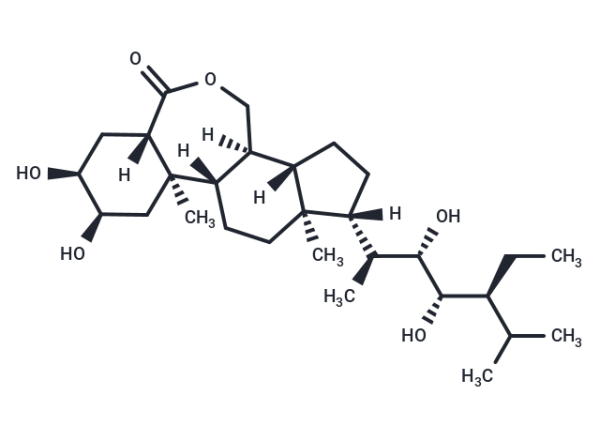 (22S,23S)-Homobrassinolide