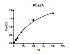 PDE2A (FLAG), Active Human Recombinant Protein