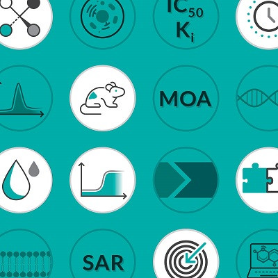 small-molecule-inhibitor-overview