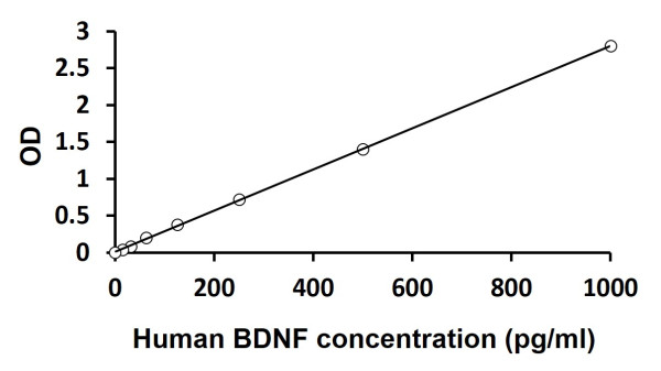 Human BDNF ELISA Kit