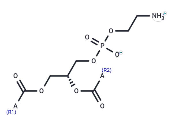 Phosphatidylethanolamine from bovine