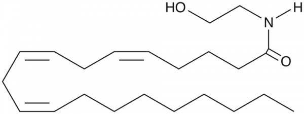 5(Z),8(Z),11(Z)-Eicosatrienoic Acid Ethanolamide