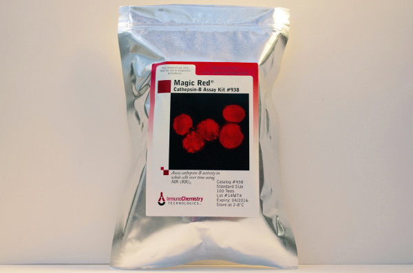 Magic Red(TM) Cathepsin B Assay Kit