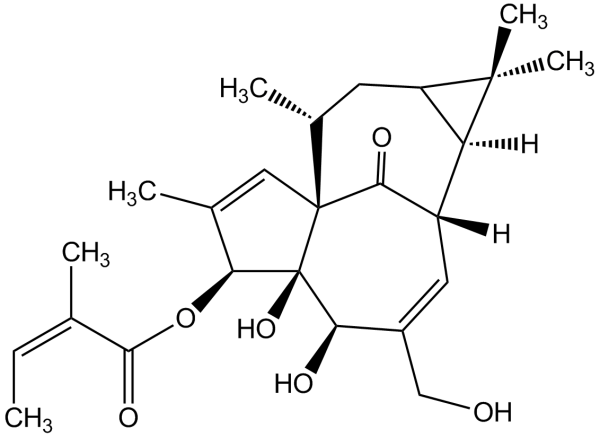 Ingenol-3-angelate