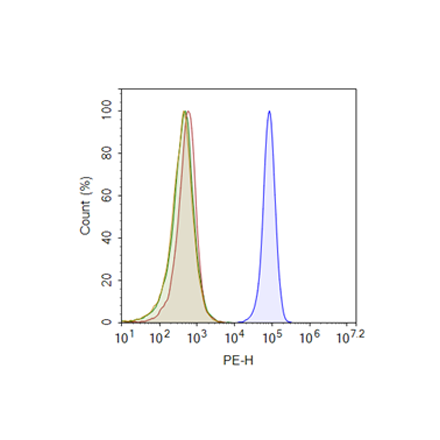 CD19/CD22 Double Knockout Raji Cell Line