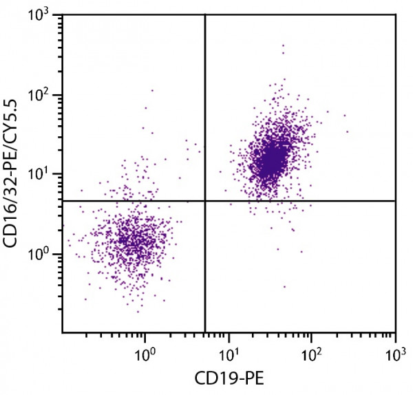 Anti-CD16/32 (PE/Cy5.5), clone 93