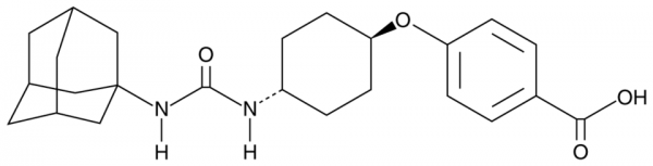 trans-AUCB