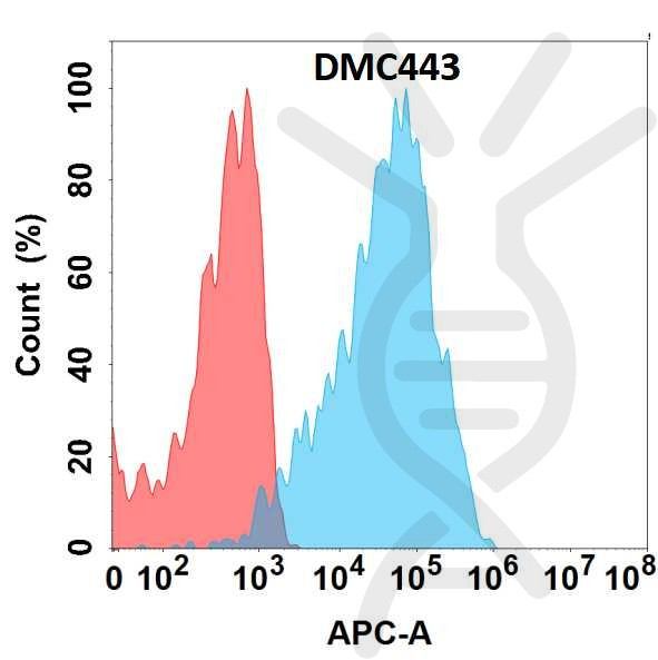 Anti-CXCR7 antibody(DMC443), IgG1 Chimeric mAb