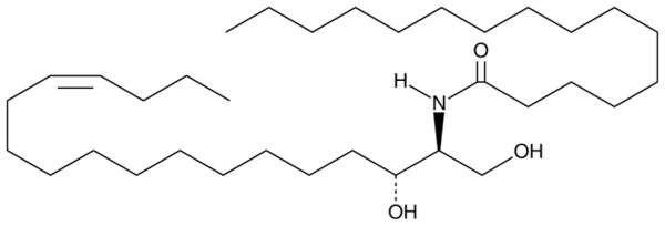 C16 Ceramide (d18:1(14Z)/16:0)