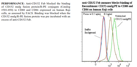 Anti-CD152 (human), clone ANC152.2/8H5 (Fab)