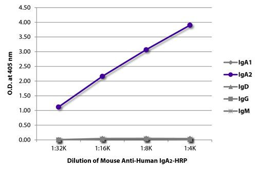 Anti-Human IgA2 Fc [A9604D2] (HRP) [Mouse]