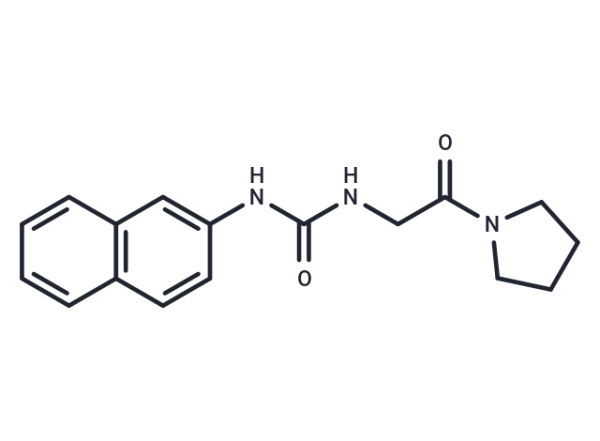 XY1