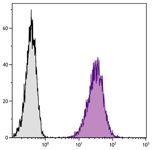 Anti-CD80 (Spectral Red), clone 1G10