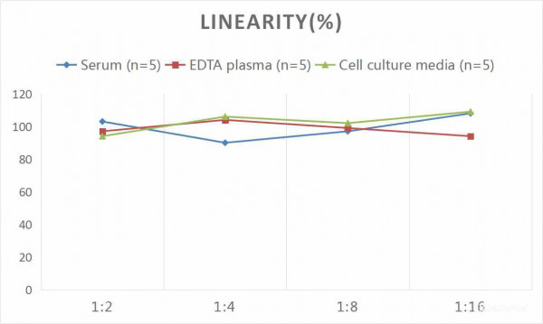 Human IFN-beta (Interferon Beta) CLIA Kit