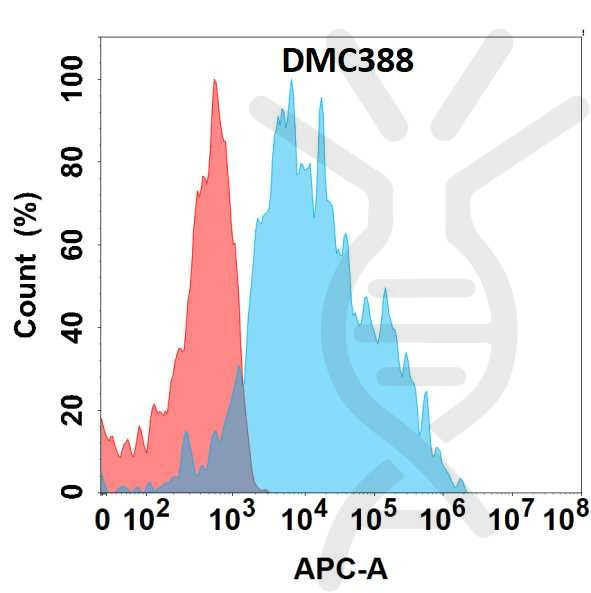 Anti-EDA antibody(DMC388), IgG1 Chimeric mAb