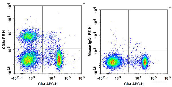 Anti-Rat CD8a, PE conjugated, clone OX-8