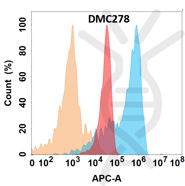 Anti-JAM-A antibody(DMC278), IgG1 Chimeric mAb