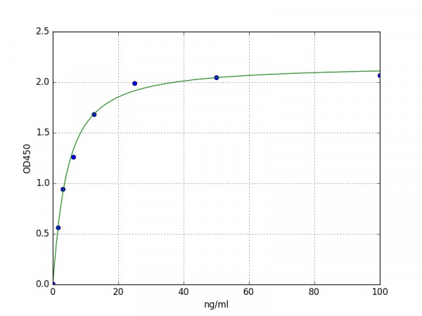 Human Vinculin ELISA Kit
