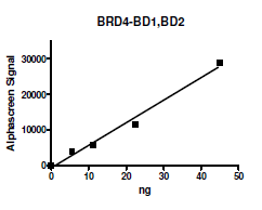 BRD4, BD1 and BD2 (49-460), human recombinant, N-terminal His-tag