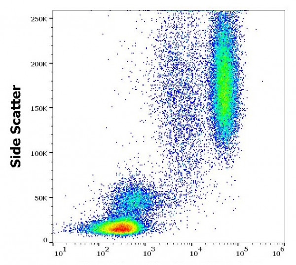 Anti-CD16, clone MEM-154