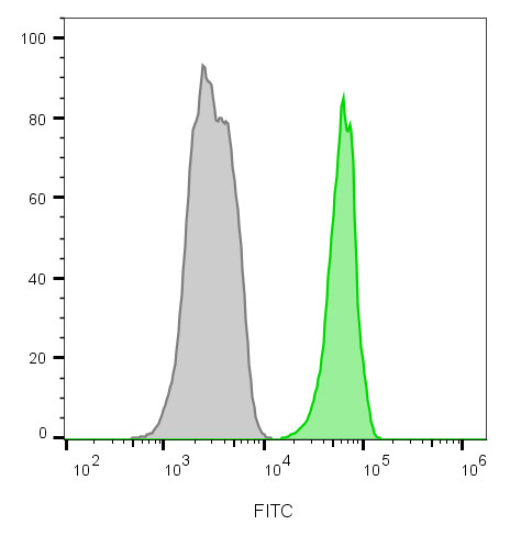 Anti-CD45 / LCA(135-4C5), CF660R conjugate, 0.1mg/mL