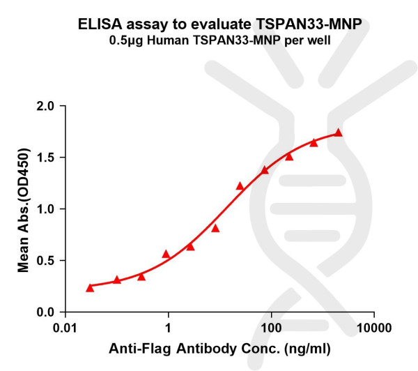 TSPAN33 (human) full length protein-MNP