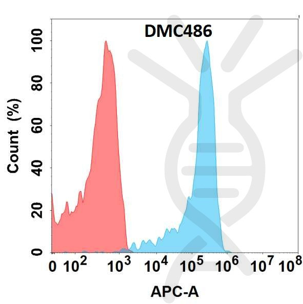 Anti-CD23 antibody(DMC486), IgG1 Chimeric mAb