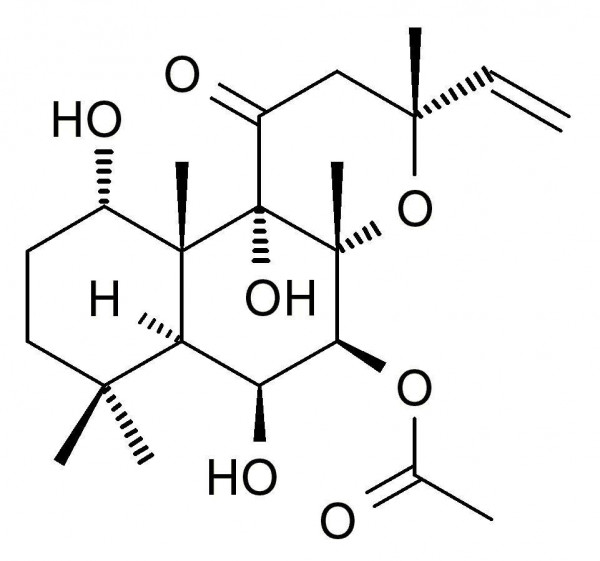 Forskolin (7b-Acetoxy-8,13-epoxy-1a,6b,9a-trihydroxy- labd-14-ene-11-one, Coleonol, Colforsin)