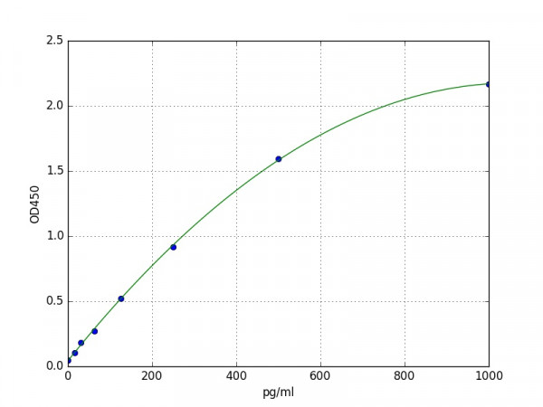Human Neurofilament Heavy protein / NEFH ELISA Kit