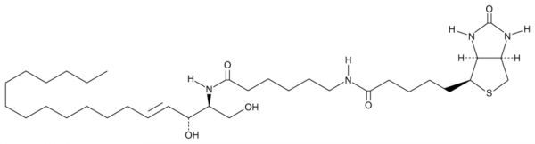 C6 Biotin Ceramide (d18:1/6:0)