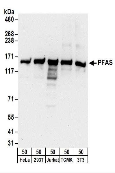 Anti-PFAS