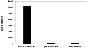 TCR Activator - CHO Recombinant Cell line
