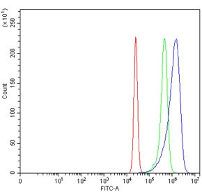 Anti-Triosephosphate isomerase / TPI1