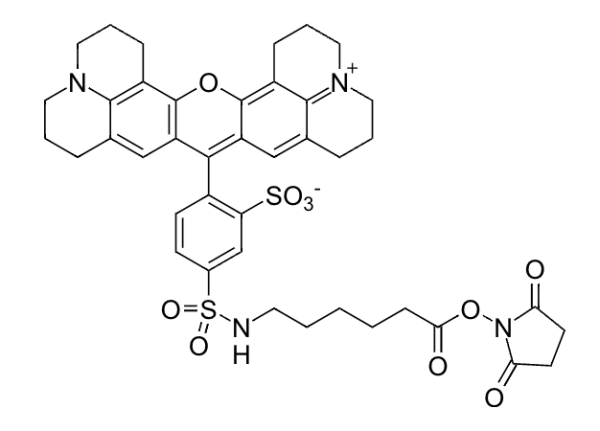Texas Red-X SE (5-isomer)