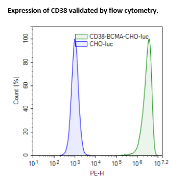 CD38 / BCMA / Firefly Luciferase CHO Recombinant Cell Line